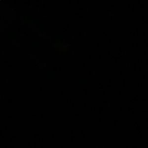 Meet your Posher, Natasha